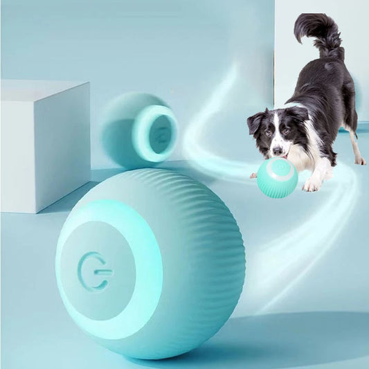 Beaurevoir™ Interactive Pet Ball